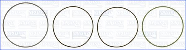 Wilmink Group WG1170256 O-rings for cylinder liners, kit WG1170256: Buy near me in Poland at 2407.PL - Good price!
