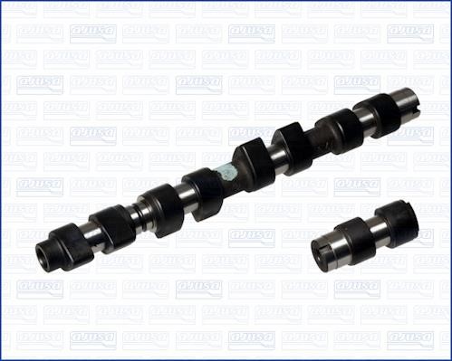 Wilmink Group WG1171368 Camshaft WG1171368: Buy near me in Poland at 2407.PL - Good price!