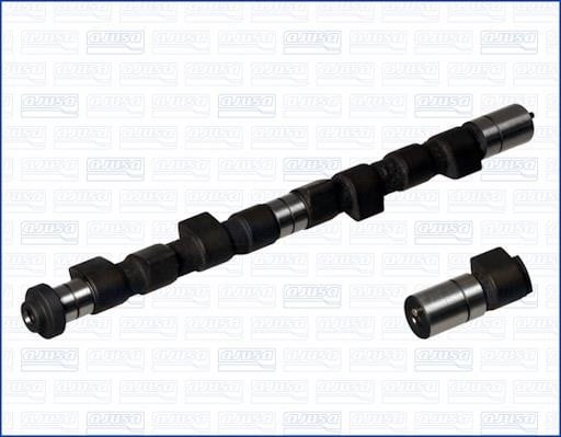 Wilmink Group WG1171342 Camshaft WG1171342: Buy near me in Poland at 2407.PL - Good price!