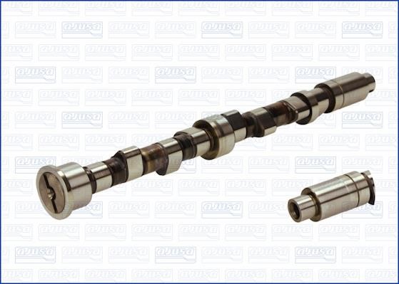 Wilmink Group WG1170807 Camshaft WG1170807: Buy near me in Poland at 2407.PL - Good price!