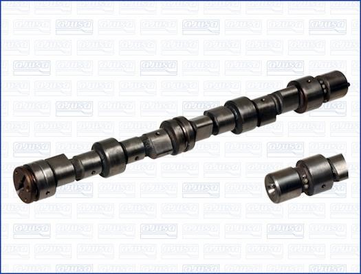 Wilmink Group WG1170889 Camshaft WG1170889: Buy near me in Poland at 2407.PL - Good price!