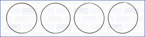Wilmink Group WG1170208 O-rings for cylinder liners, kit WG1170208: Buy near me in Poland at 2407.PL - Good price!