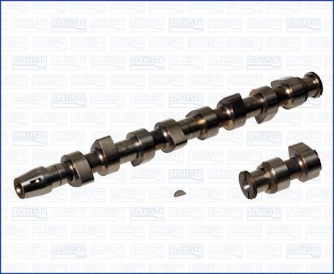 Wilmink Group WG1170809 Camshaft WG1170809: Buy near me in Poland at 2407.PL - Good price!