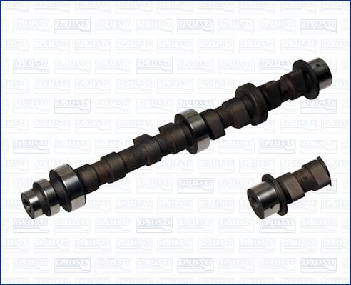 Wilmink Group WG1456787 Camshaft WG1456787: Buy near me in Poland at 2407.PL - Good price!