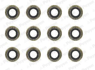 Wilmink Group WG2171416 Valve oil seals, kit WG2171416: Buy near me in Poland at 2407.PL - Good price!