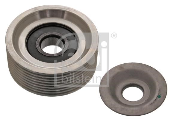 Wilmink Group WG1442581 Idler Pulley WG1442581: Buy near me in Poland at 2407.PL - Good price!