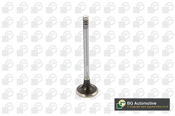 Wilmink Group WG1814471 Exhaust valve WG1814471: Buy near me in Poland at 2407.PL - Good price!