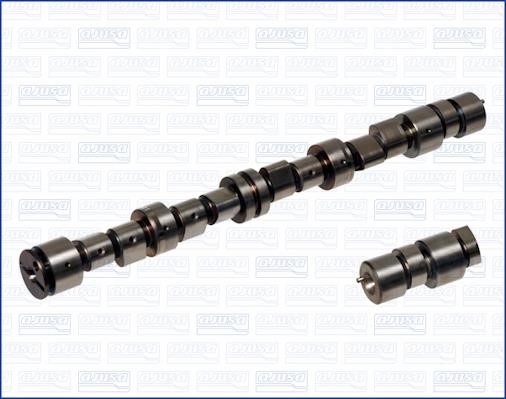 Wilmink Group WG1170786 Camshaft WG1170786: Buy near me in Poland at 2407.PL - Good price!
