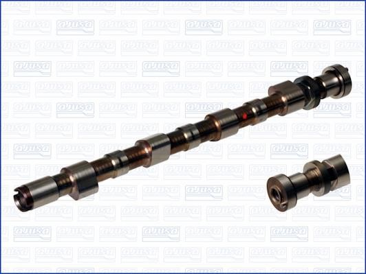 Wilmink Group WG1171461 Camshaft WG1171461: Buy near me in Poland at 2407.PL - Good price!