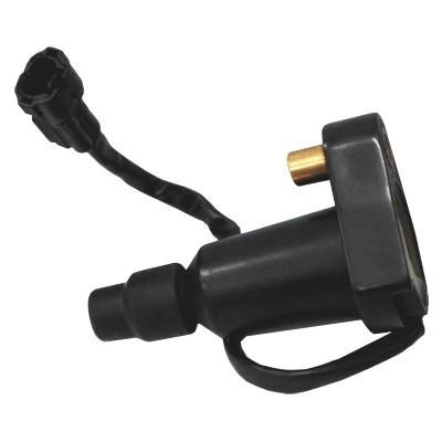 Wilmink Group WG1012439 Ignition coil WG1012439: Buy near me in Poland at 2407.PL - Good price!
