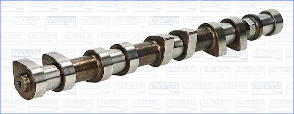 Wilmink Group WG1171043 Camshaft WG1171043: Buy near me in Poland at 2407.PL - Good price!