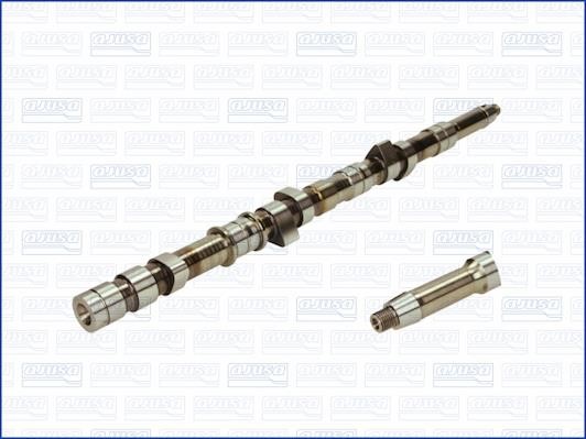 Wilmink Group WG1171385 Camshaft WG1171385: Buy near me in Poland at 2407.PL - Good price!