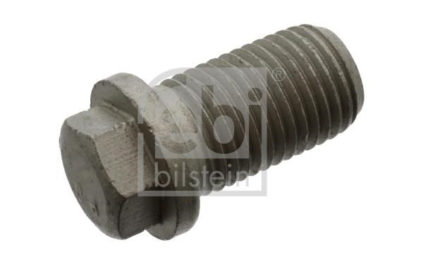 Wilmink Group WG2186229 Sump plug WG2186229: Buy near me in Poland at 2407.PL - Good price!