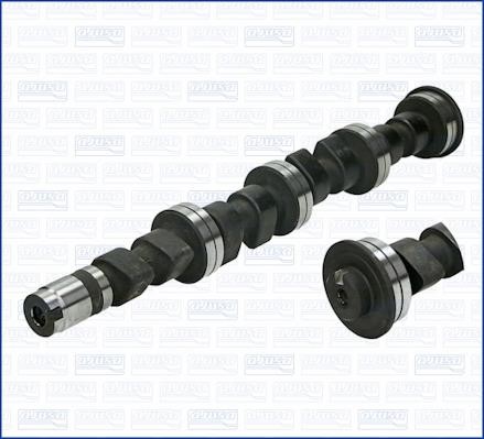 Wilmink Group WG1170760 Camshaft WG1170760: Buy near me at 2407.PL in Poland at an Affordable price!