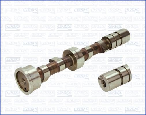 Wilmink Group WG1170957 Camshaft WG1170957: Buy near me in Poland at 2407.PL - Good price!