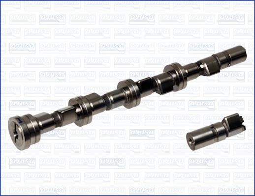 Wilmink Group WG1170731 Camshaft WG1170731: Buy near me at 2407.PL in Poland at an Affordable price!