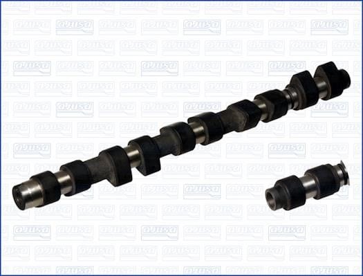 Wilmink Group WG1171397 Camshaft WG1171397: Buy near me in Poland at 2407.PL - Good price!