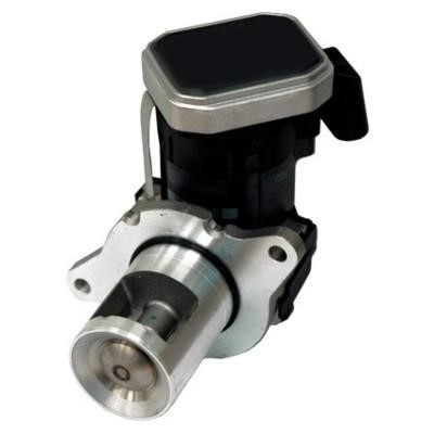 Wilmink Group WG1015318 EGR Valve WG1015318: Buy near me at 2407.PL in Poland at an Affordable price!
