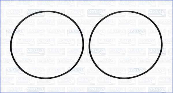 Wilmink Group WG1170258 O-rings for cylinder liners, kit WG1170258: Buy near me in Poland at 2407.PL - Good price!