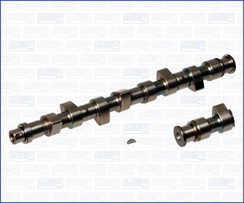 Wilmink Group WG1170965 Camshaft WG1170965: Buy near me in Poland at 2407.PL - Good price!