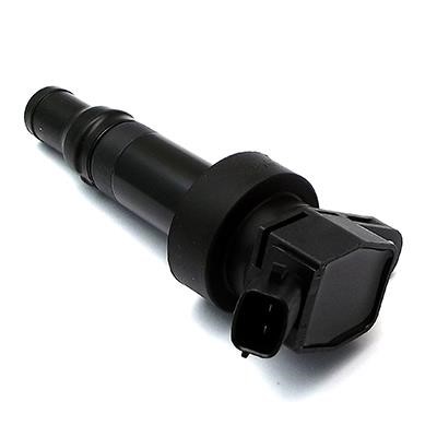 Wilmink Group WG1012436 Ignition coil WG1012436: Buy near me in Poland at 2407.PL - Good price!