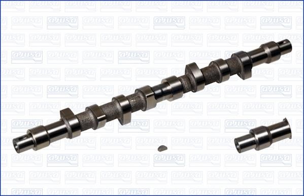 Wilmink Group WG1170816 Camshaft WG1170816: Buy near me in Poland at 2407.PL - Good price!