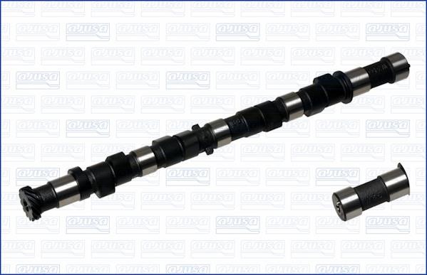Wilmink Group WG1170741 Camshaft WG1170741: Buy near me in Poland at 2407.PL - Good price!