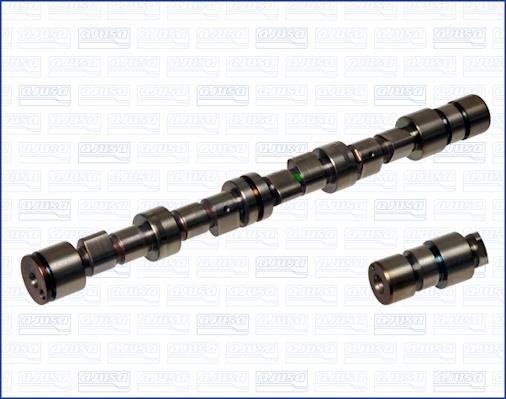 Wilmink Group WG1170791 Camshaft WG1170791: Buy near me in Poland at 2407.PL - Good price!