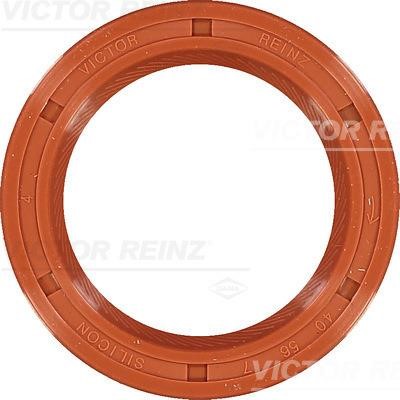 Wilmink Group WG1250240 Camshaft oil seal WG1250240: Buy near me in Poland at 2407.PL - Good price!