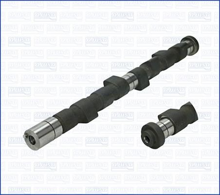 Wilmink Group WG1171378 Camshaft WG1171378: Buy near me in Poland at 2407.PL - Good price!
