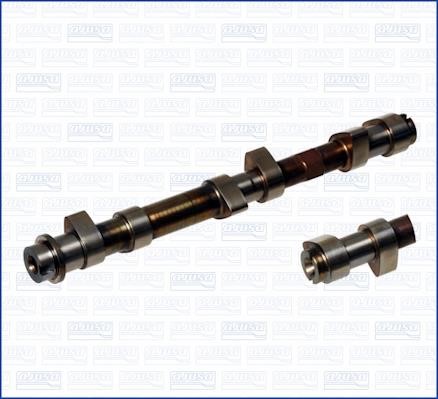Wilmink Group WG1171082 Camshaft WG1171082: Buy near me in Poland at 2407.PL - Good price!