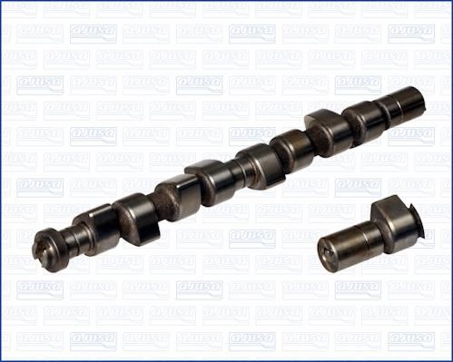 Wilmink Group WG1170736 Camshaft WG1170736: Buy near me in Poland at 2407.PL - Good price!