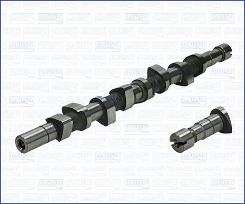 Wilmink Group WG1171409 Camshaft WG1171409: Buy near me in Poland at 2407.PL - Good price!