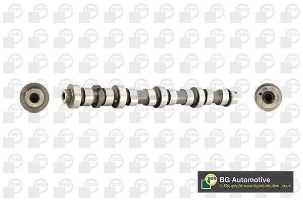 Wilmink Group WG1490477 Camshaft WG1490477: Buy near me at 2407.PL in Poland at an Affordable price!