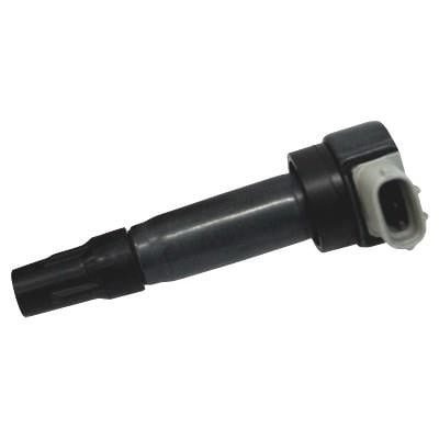 Wilmink Group WG1012460 Ignition coil WG1012460: Buy near me at 2407.PL in Poland at an Affordable price!
