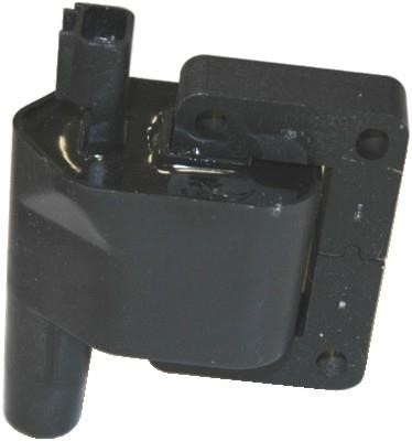 Wilmink Group WG1012262 Ignition coil WG1012262: Buy near me in Poland at 2407.PL - Good price!