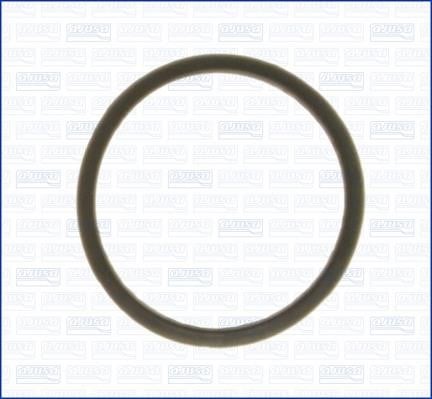 Wilmink Group WG1751202 Termostat gasket WG1751202: Buy near me in Poland at 2407.PL - Good price!