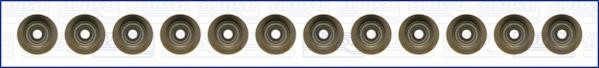 Wilmink Group WG1009563 Valve oil seals, kit WG1009563: Buy near me in Poland at 2407.PL - Good price!