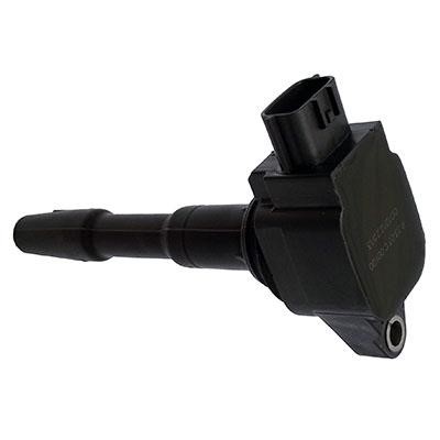 Wilmink Group WG1012502 Ignition coil WG1012502: Buy near me at 2407.PL in Poland at an Affordable price!