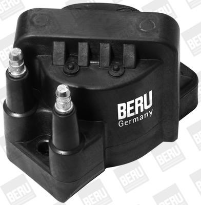 Wilmink Group WG1487413 Ignition coil WG1487413: Buy near me in Poland at 2407.PL - Good price!