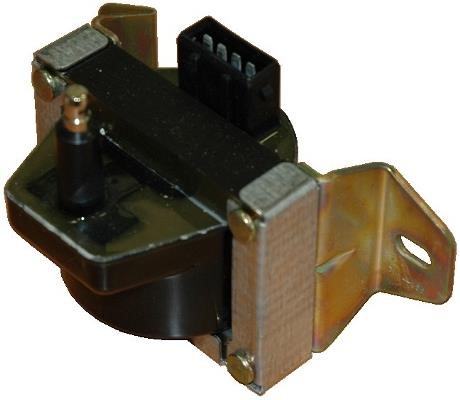 Wilmink Group WG1012189 Ignition coil WG1012189: Buy near me at 2407.PL in Poland at an Affordable price!