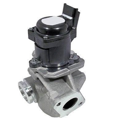Wilmink Group WG1899165 EGR Valve WG1899165: Buy near me in Poland at 2407.PL - Good price!