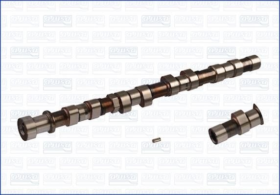 Wilmink Group WG1171617 Camshaft WG1171617: Buy near me in Poland at 2407.PL - Good price!
