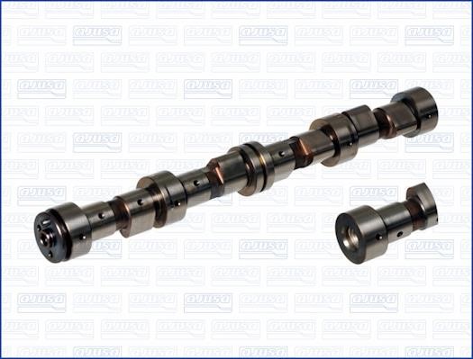 Wilmink Group WG1170918 Camshaft WG1170918: Buy near me in Poland at 2407.PL - Good price!