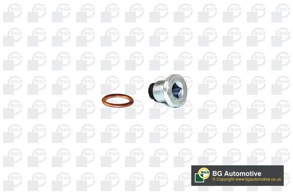 Wilmink Group WG1766637 Sump plug WG1766637: Buy near me at 2407.PL in Poland at an Affordable price!