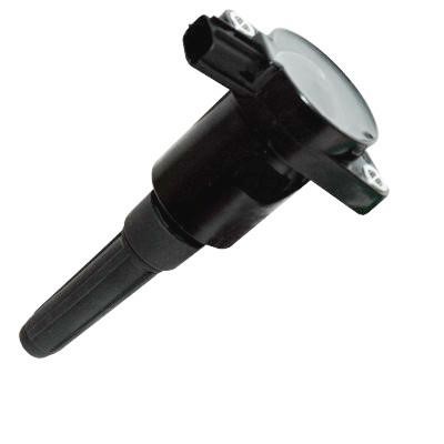 Wilmink Group WG1012516 Ignition coil WG1012516: Buy near me in Poland at 2407.PL - Good price!