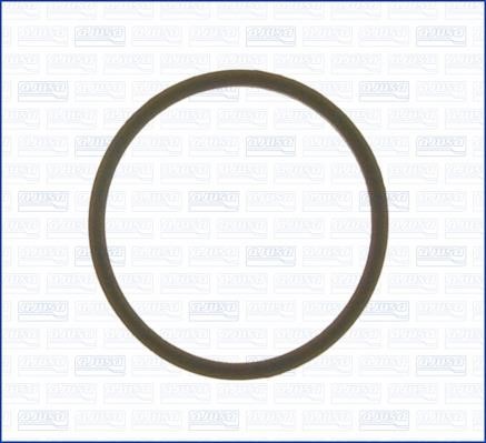 Wilmink Group WG1158258 Termostat gasket WG1158258: Buy near me in Poland at 2407.PL - Good price!