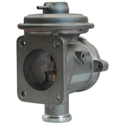 Wilmink Group WG1015322 EGR Valve WG1015322: Buy near me in Poland at 2407.PL - Good price!
