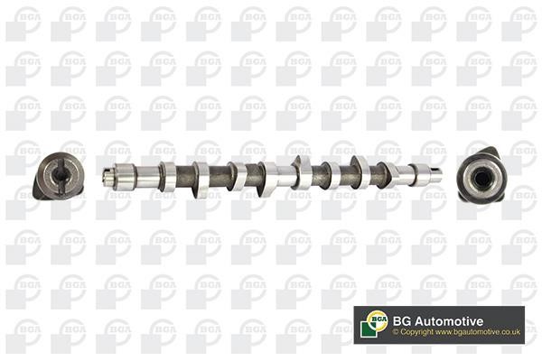 Wilmink Group WG1490505 Camshaft WG1490505: Buy near me in Poland at 2407.PL - Good price!