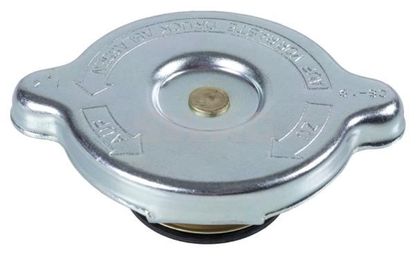 Wilmink Group WG1054307 Radiator caps WG1054307: Buy near me in Poland at 2407.PL - Good price!